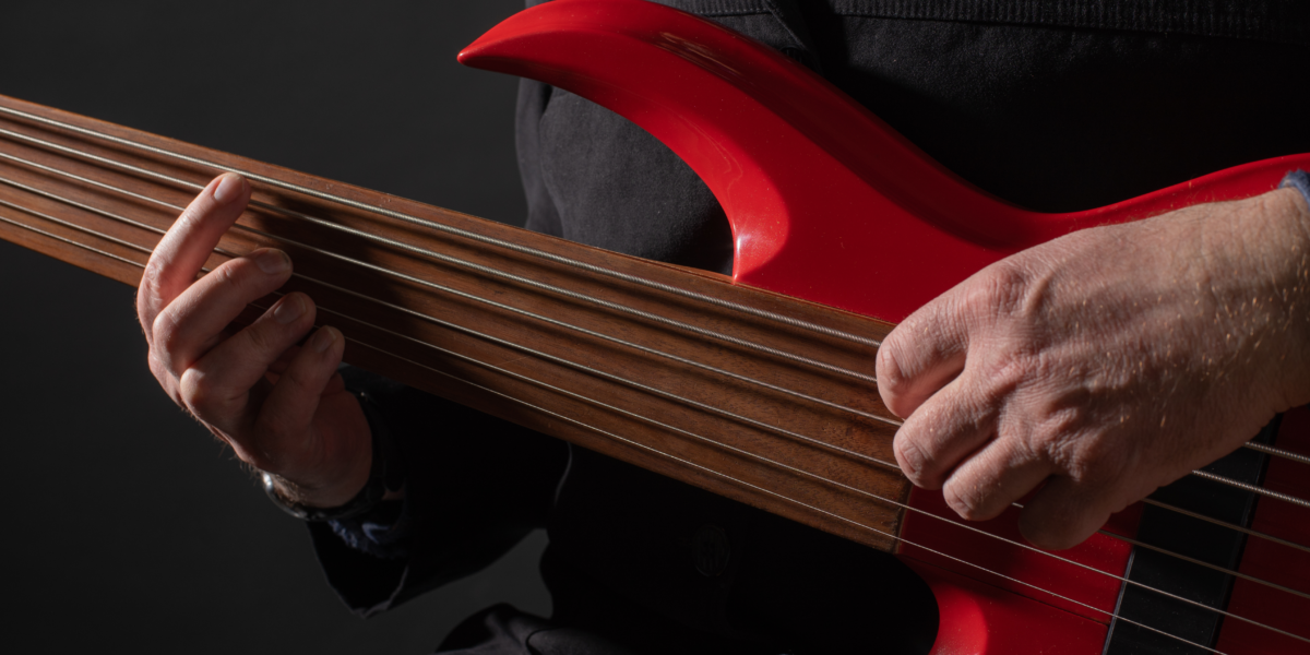 fretless guitar