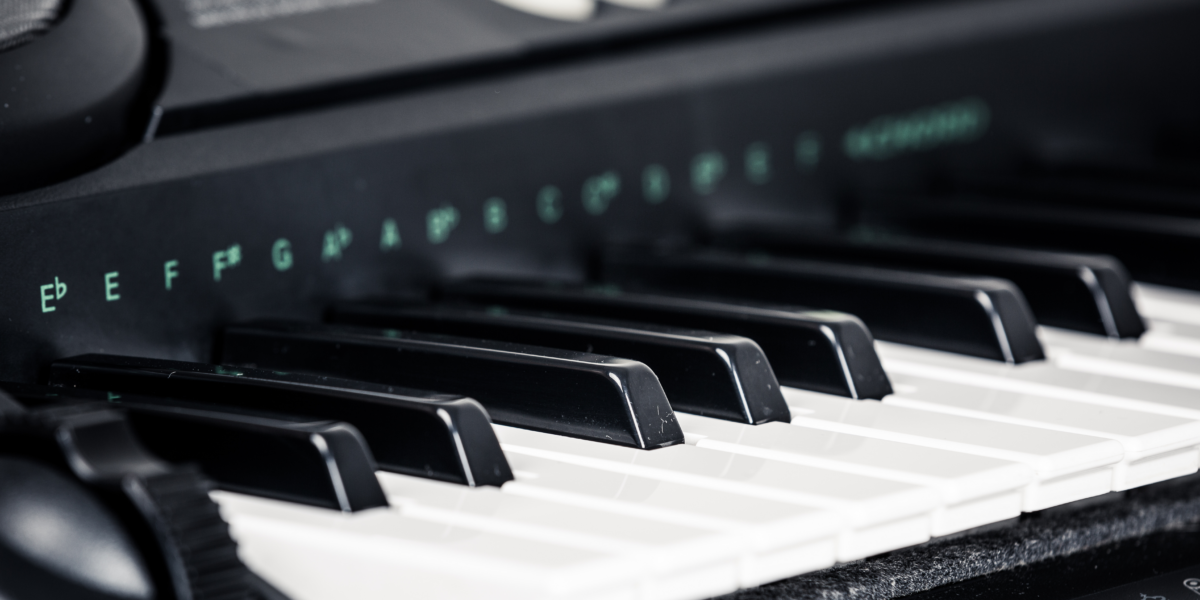 5 Best 88 Key Digital Pianos Learn To Play An Instrument With Step by 